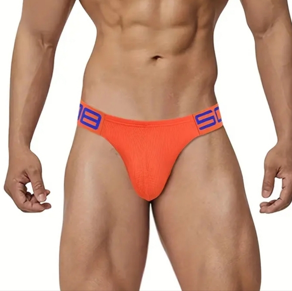 NEW Mesh Breathable Men's Elastic Brief - Picture 2 of 6